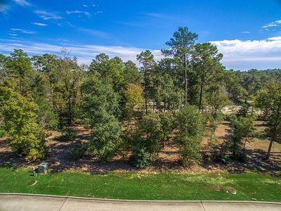 313 Pine Brook Dr, Montgomery, TX, 77356