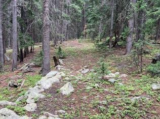 14 Long Rd, Idaho Springs, CO 80452