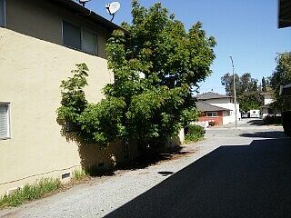 2nd image of 246 Echo Ave APT 1
