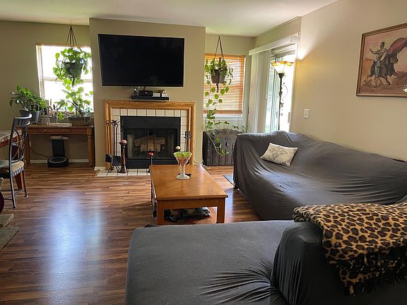 Family Room and Fireplace