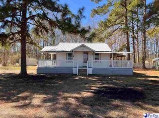 453 Sandy Lane Dr, Johnsonville, SC 29555