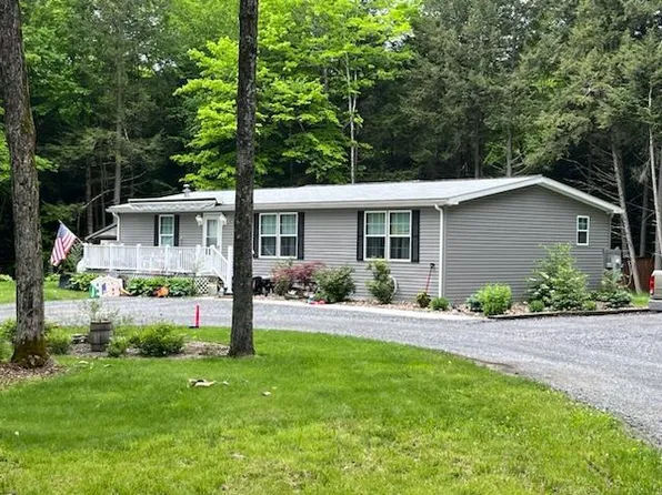 42 Manoah Ln, Morris, PA 16938
