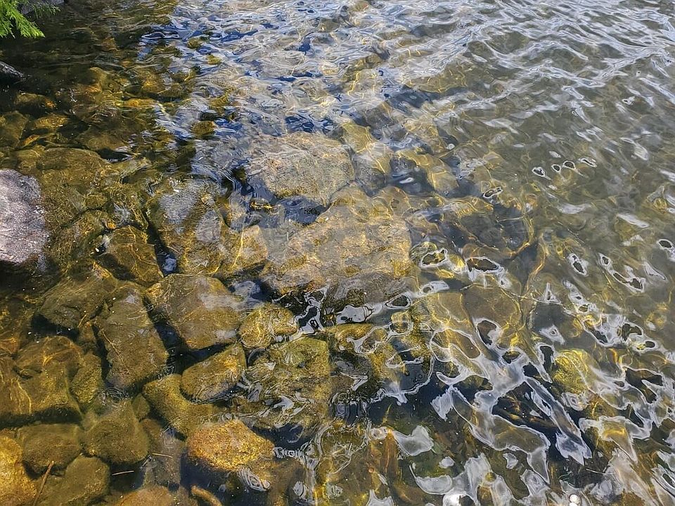 Parcel E Birch Point Road, Meddybemps, ME 04657 Zillow