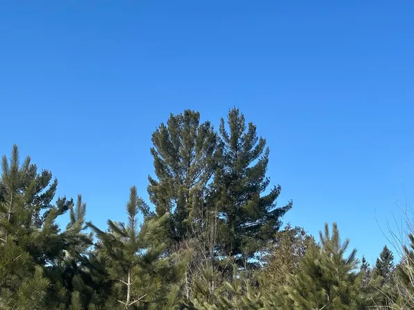 Burrows Lake Rd Lot 3, Tomahawk, WI 54487