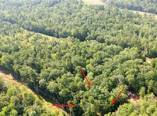 237 Anthemis Rd, Sparta, GA 31087