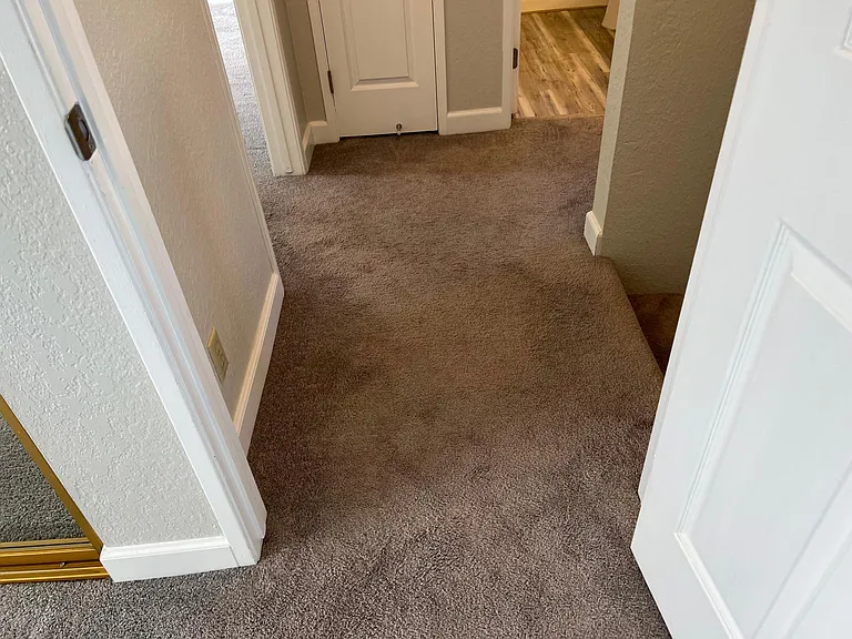 2524 Charlene Ln — Photo 29