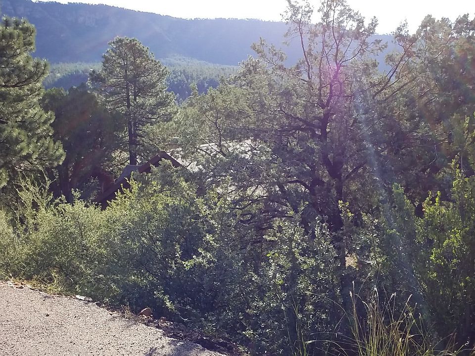 4977 N Trails End Dr, Pine, AZ 85544 Zillow