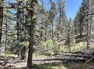 437 Sunset Ln, Cripple Creek, CO 80813