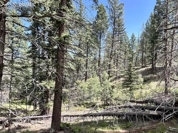 437 Sunset Ln, Cripple Creek, CO 80813