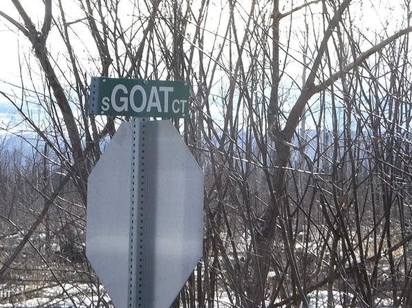 56731 S Goat Ct, Willow, AK 99688