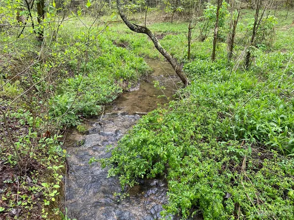 Tbd Shoal Creek Rd, Scaly Mountain, NC 28775