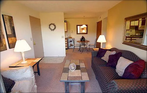 Your Living Room and Dining Room