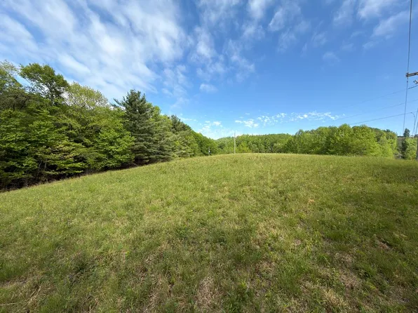 Tbd Wards Gap Rd, Fancy Gap, VA 24328
