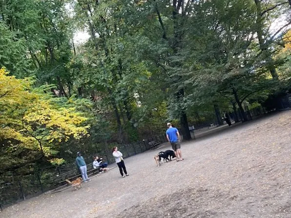 140 West 69th Street image 32 of 33