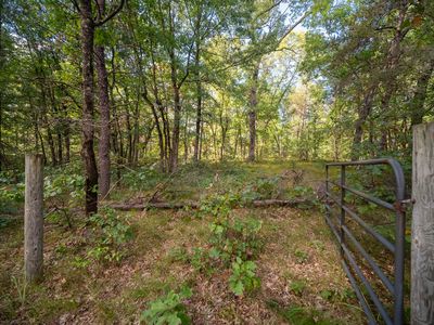 Rybicki Rd, Free Soil, MI, 49411