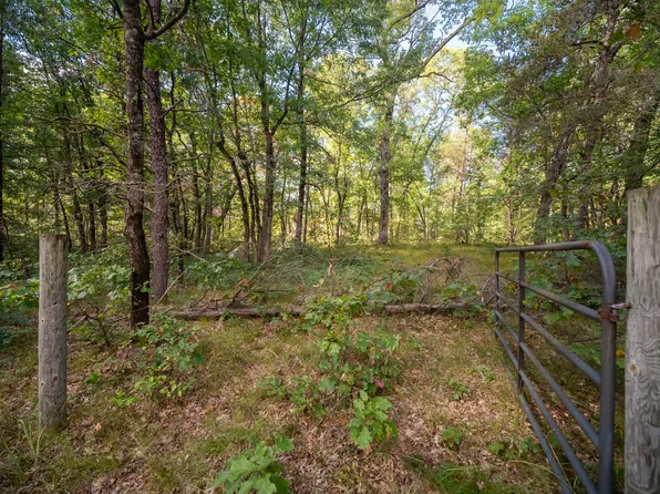 Rybicki Rd, Free Soil, MI 49411