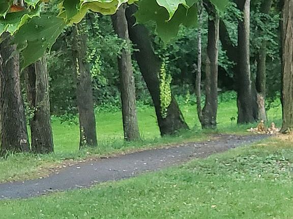 Outside trail back of building