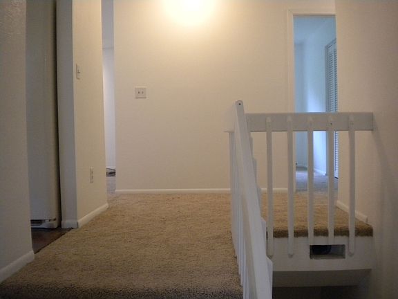 Fresh paint and carpet