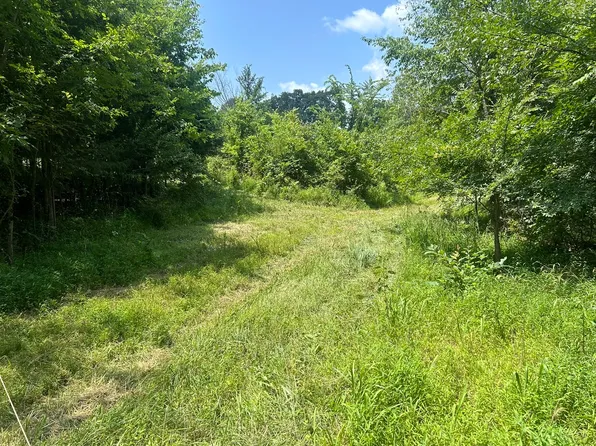 Bushwack Rd, Golconda, IL 62938