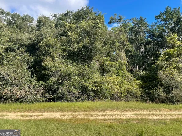 535 Maggies Lake Rd NE, Glennville, GA 30427