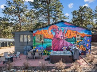 559 S Saint Vrain Ave, Estes Park, CO 80517