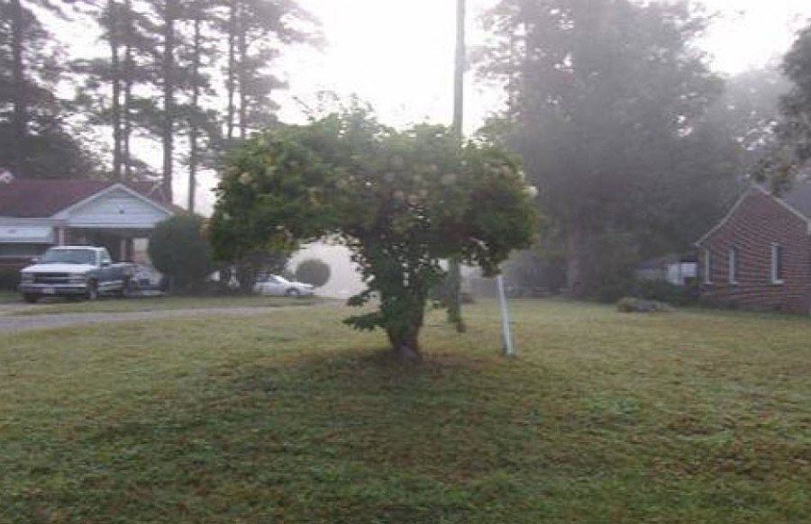 2nd image of 14427 Carroll Bridge Rd