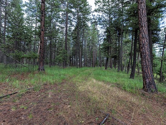 4th image of 34350 Bobcat Cir