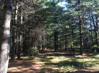 Nellis Rd, Cold brook, NY 13324