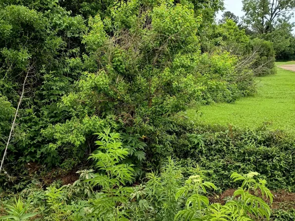 Forest Ave, Jackson, MS 39206