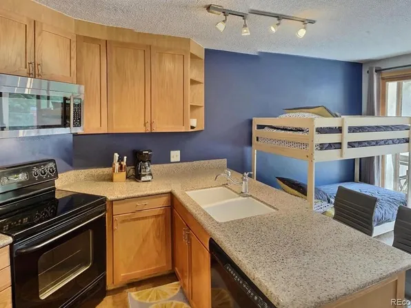 313 Iron Horse Way #C1033, Winter Park, CO 80482