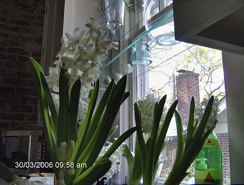 kitchen view