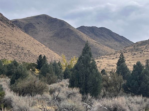 10 E Mill Creek Rd, Coleville, CA 96107