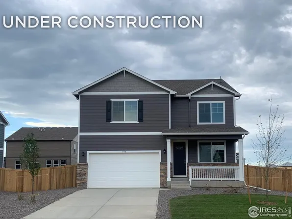 3770 Catmint St, Wellington, CO 80549