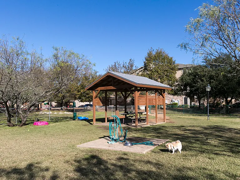 Dog park