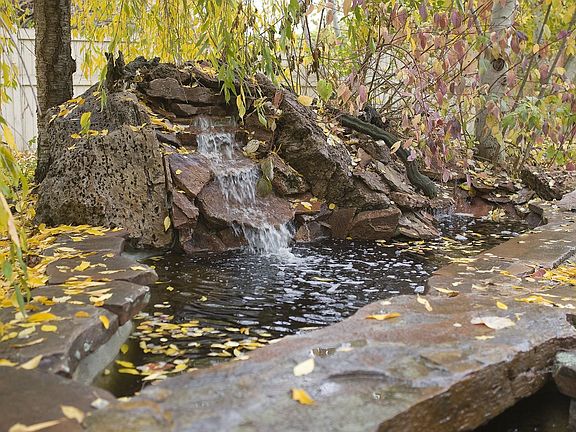 Water Feature in back yard