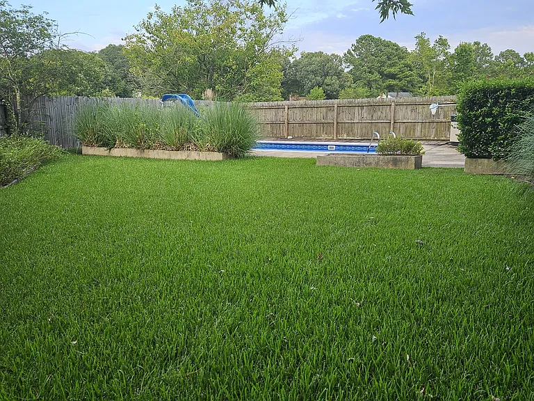 Back yard & pool view