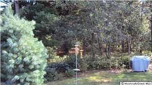 1st image of 61 Penwood Dr #55