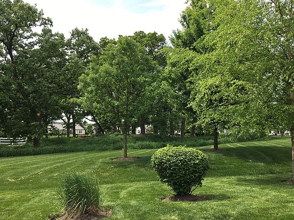 BACKYARD VIEW CENTER  
