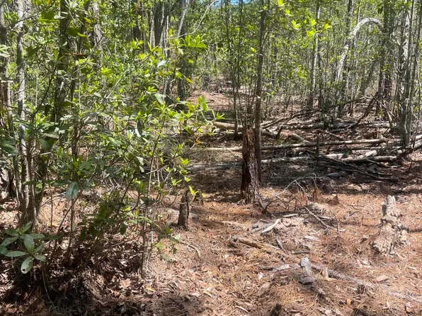 109 ARDEN Street, Georgetown, FL 32139