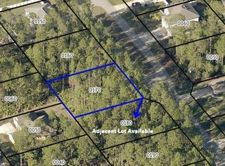 12 Llobell Pl, Palm Coast, FL 32164