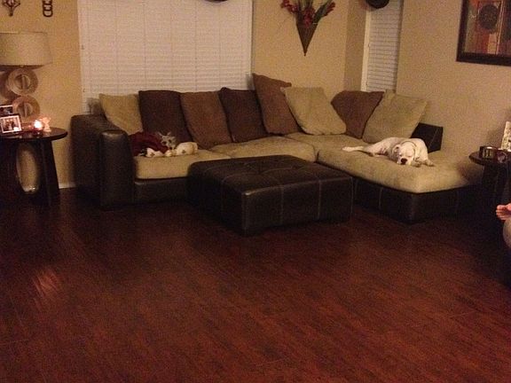 large open living room