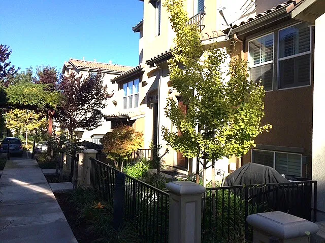 3 bed, 2.5 bath, 1579 sqft, $5,300 — Photo 2