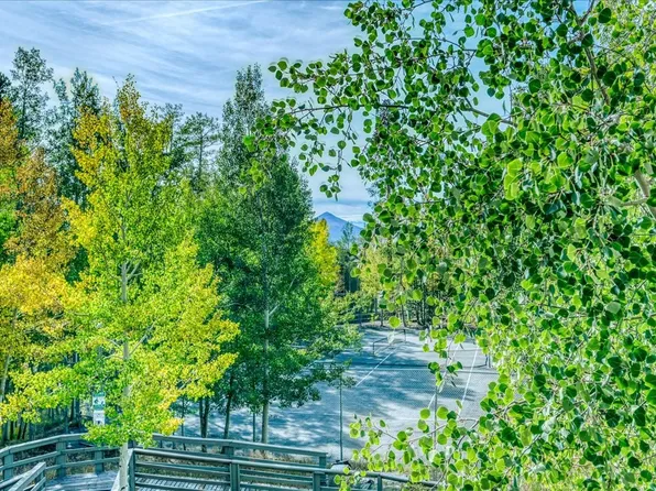 2300 Lodge Pole Circle UNIT 205, Silverthorne, CO 80498