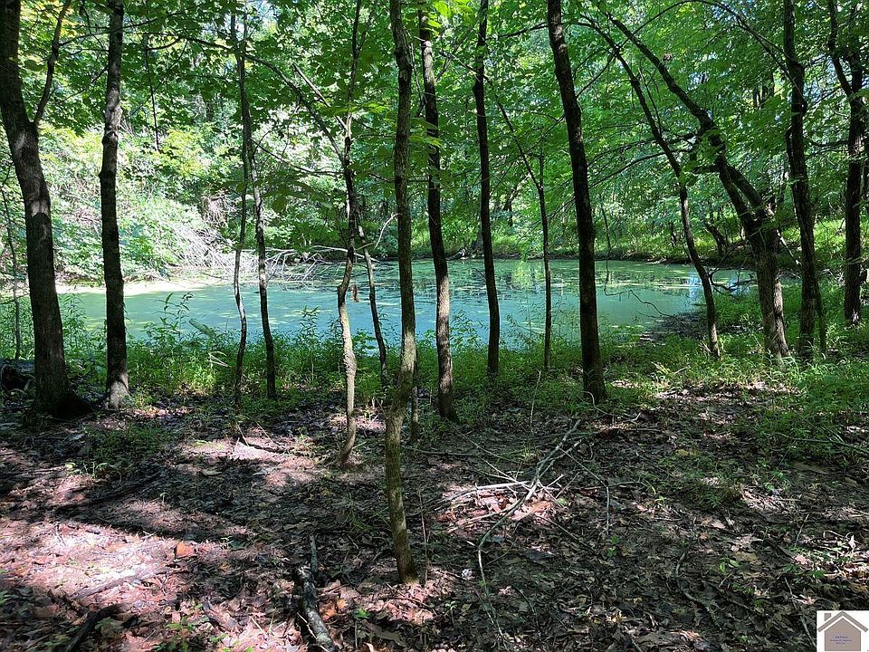 1st image of 8325 John Steele Rd
