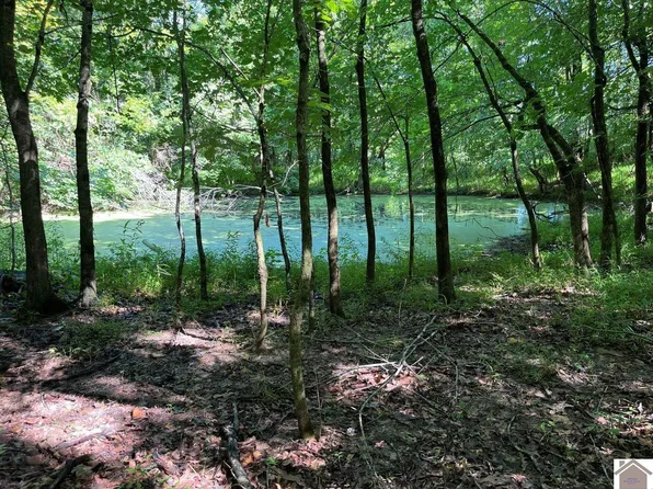 8325 John Steele Rd, Robards, KY 42452