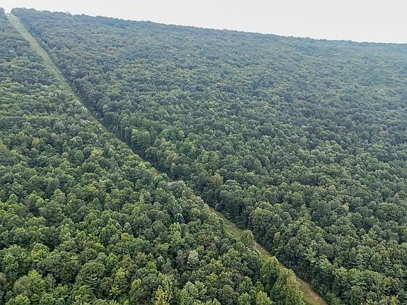 2nd image of Mountain Rd