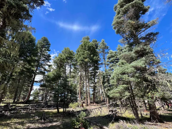 TBD Cimarron Trail, Angel Fire, NM 87710-0000