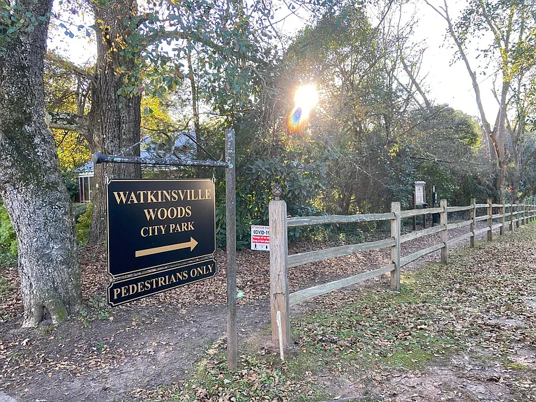 Watkinsville Woods
