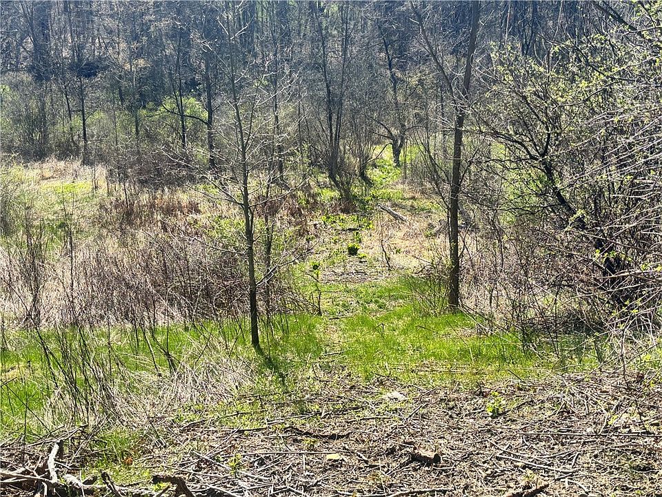 2nd image of 283 McClain Rd