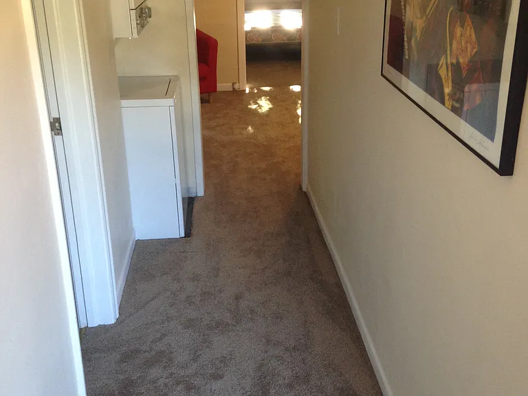 358 W 22nd Ave — Photo 7